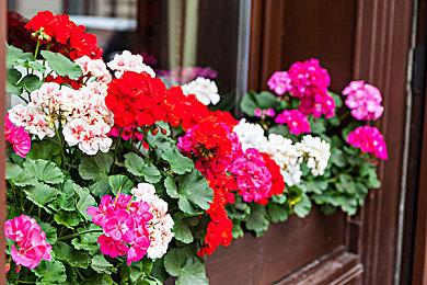 索尼GDC官方演示泄露：《死亡回归》或将推出PC版本